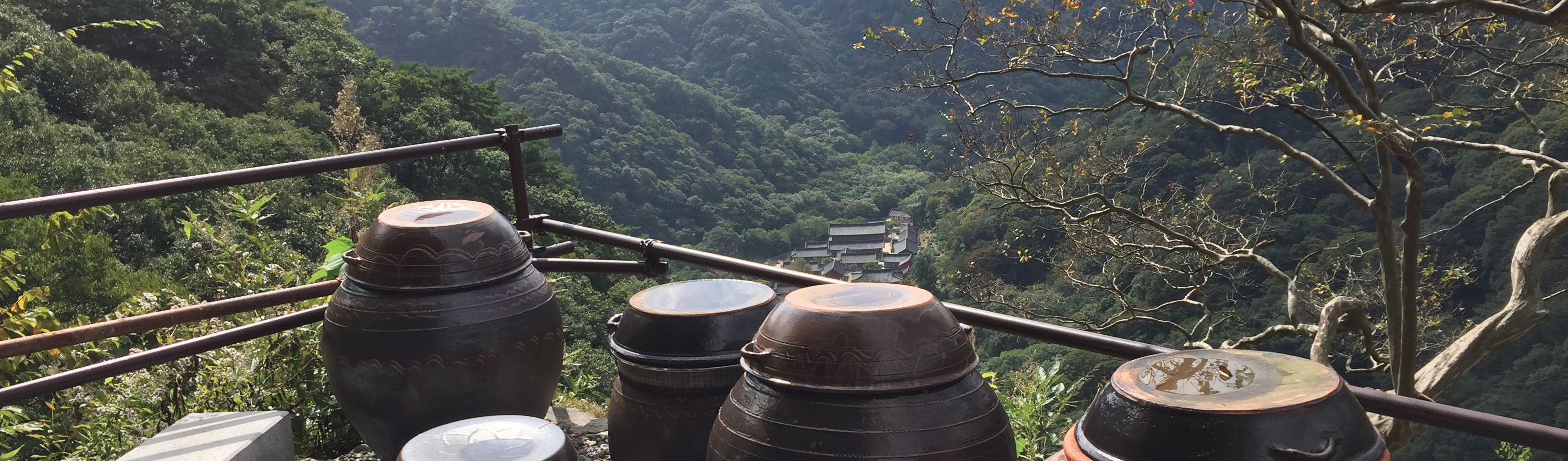Séjours au temple&nbsp;: le souffle de la tranquillité