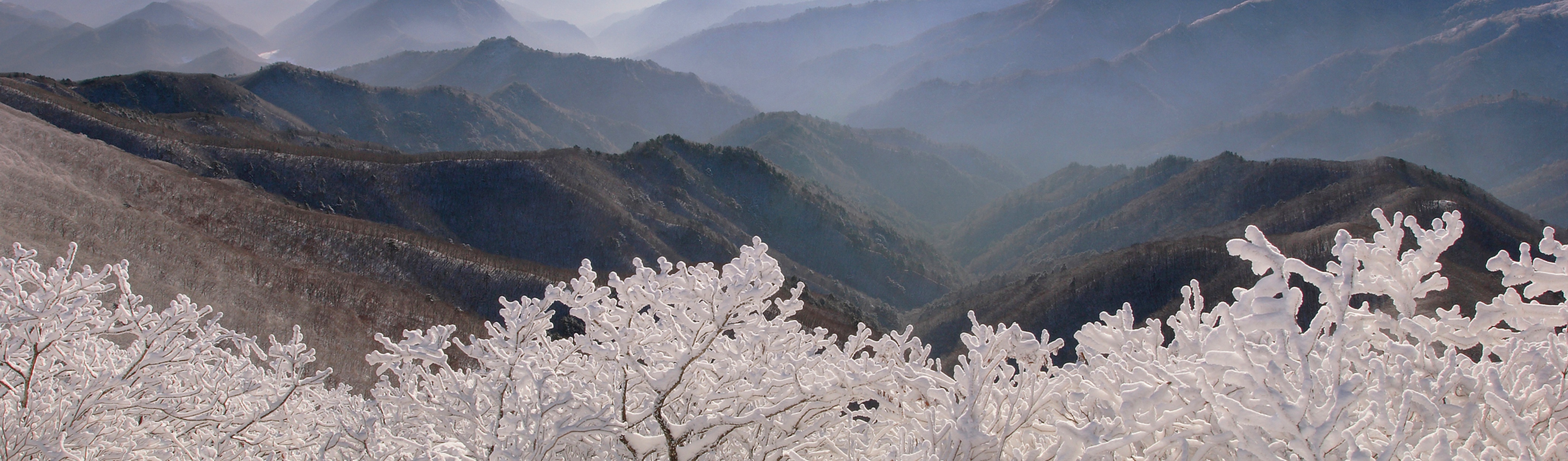 Le pouvoir de la province du Gangwon...