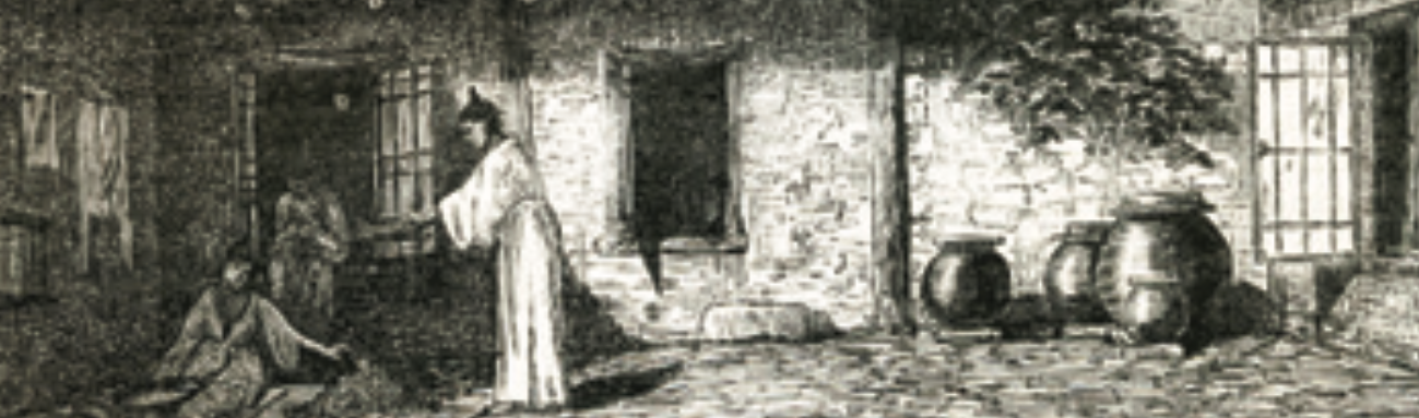 Henri Zuber, un étonnant témoin de l’expédition de l’amiral Roze