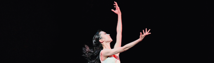 Park Sae-un&nbsp;: une étoile coréenne à l’Opéra de Paris&nbsp;!